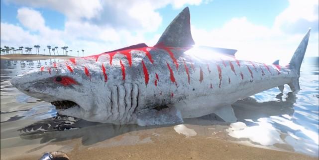 巨齿鲨还存在吗，巨齿鲨找不到足够的食物渐渐灭绝了